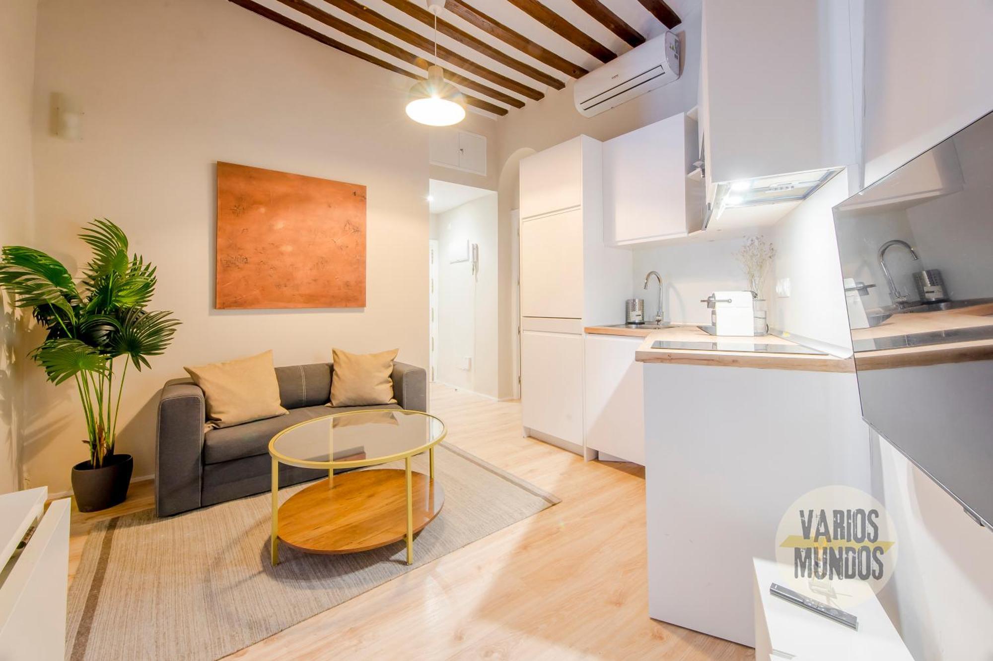 Centrico 7pax En Anton Martin-centro E2 * Madri